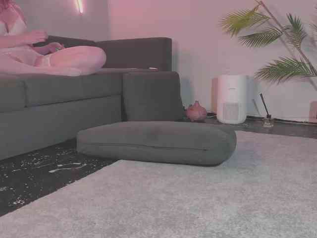 Модель: Monicami