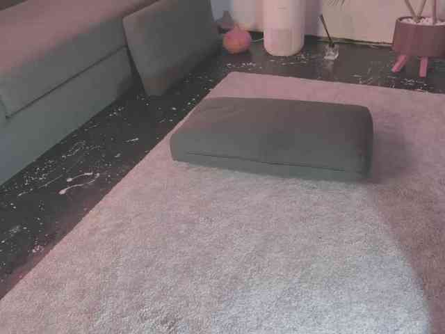 Monicami webcam