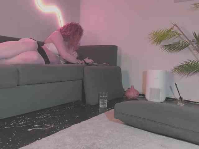 Monicami webcam