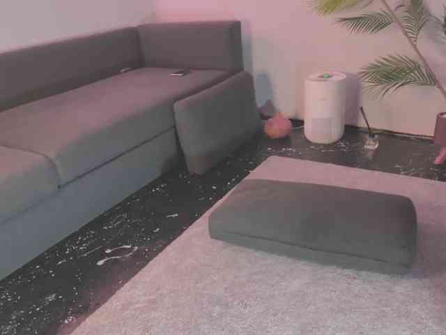 Monicami webcam