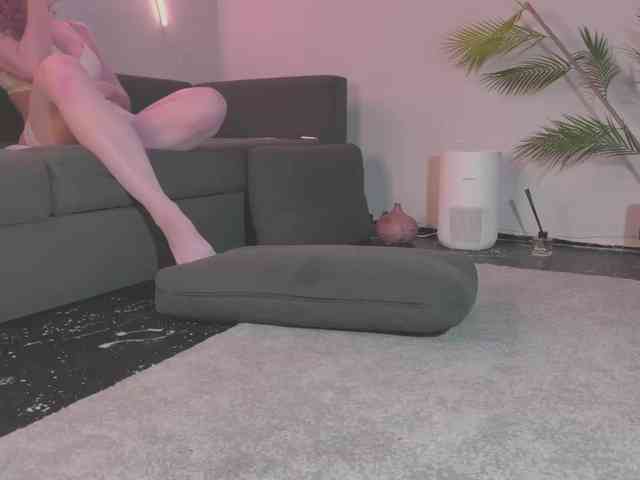 Модель: Monicami