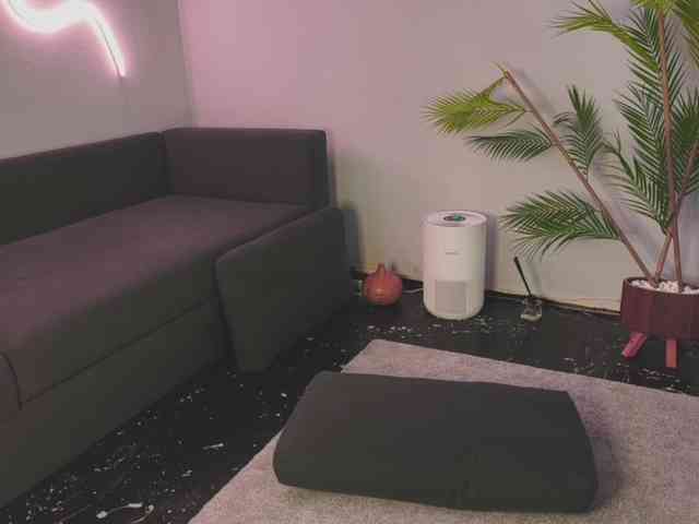 Monicami webcam