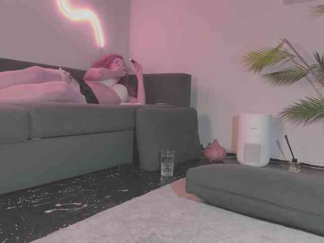Monicami webcam