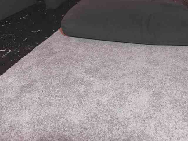 Monicami webcam