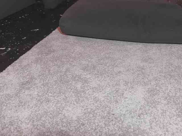 Monicami webcam