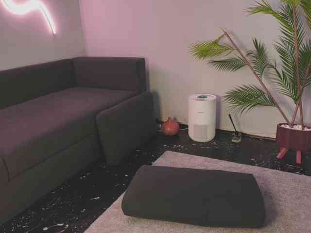 Monicami webcam