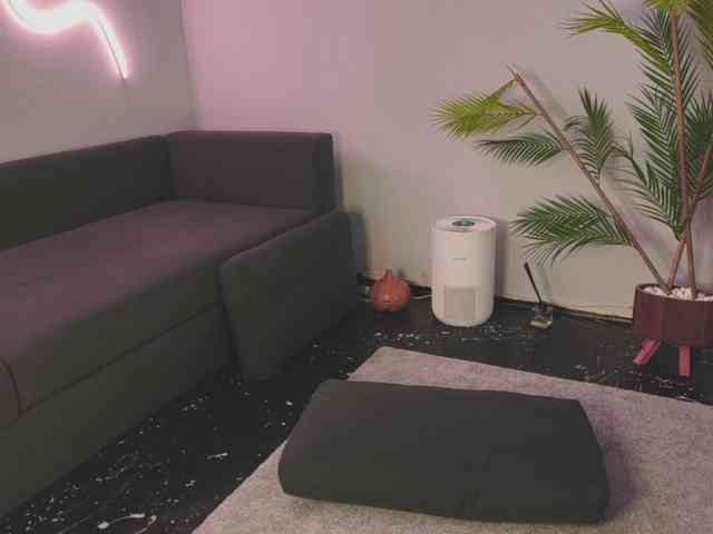 Monicami webcam