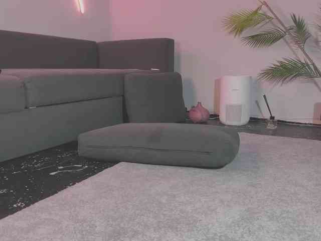Monicami webcam