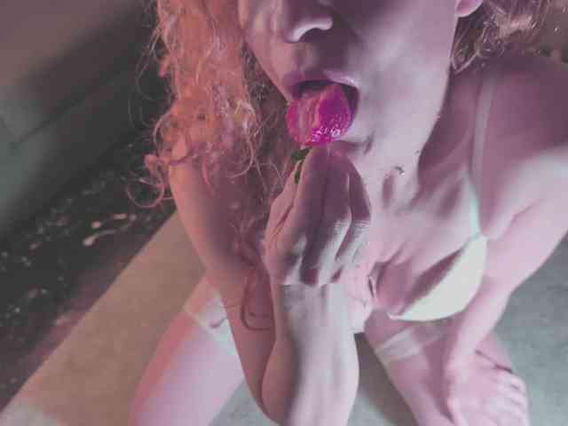 Monicami webcam