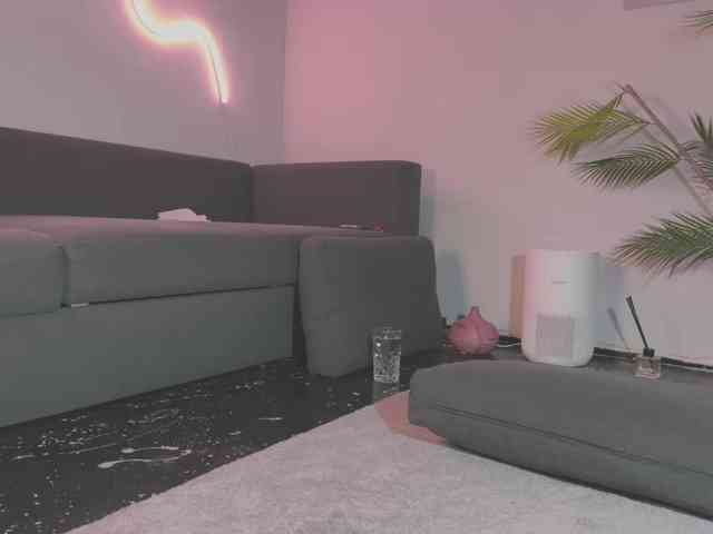 Monicami webcam