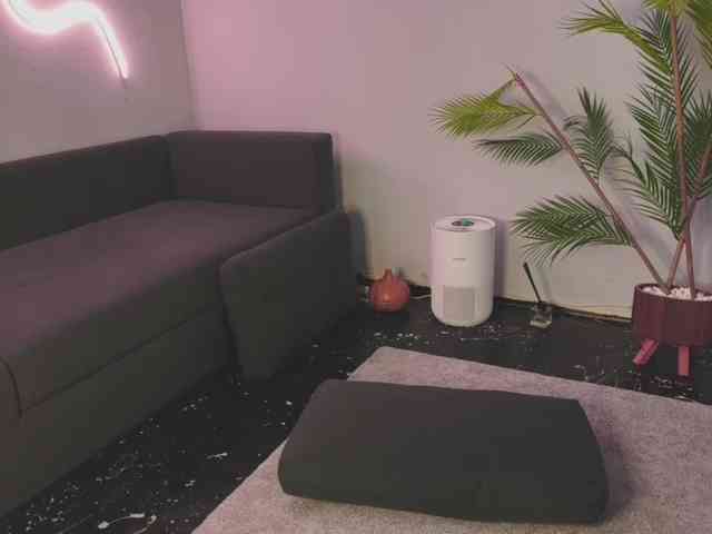 Monicami webcam