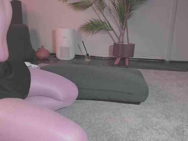 Monicami webcam