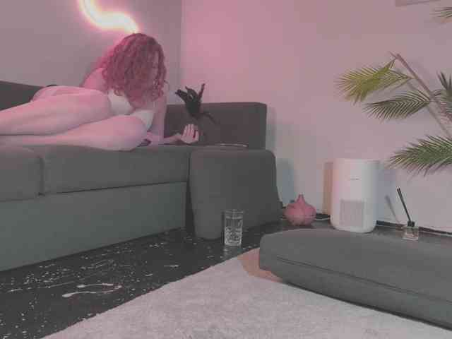 Monicami webcam