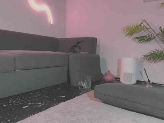 Monicami webcam