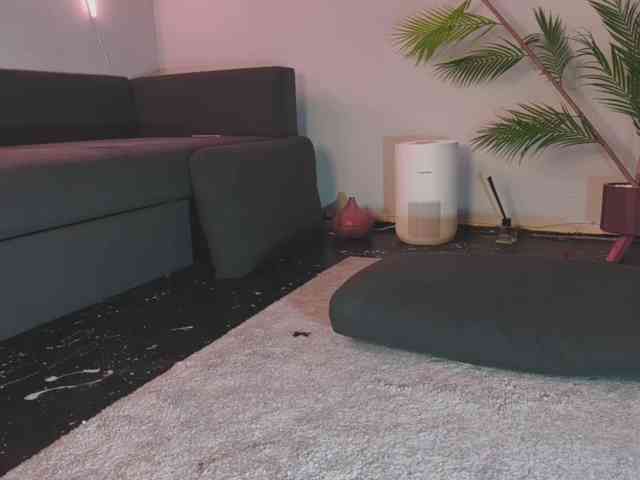 Monicami webcam