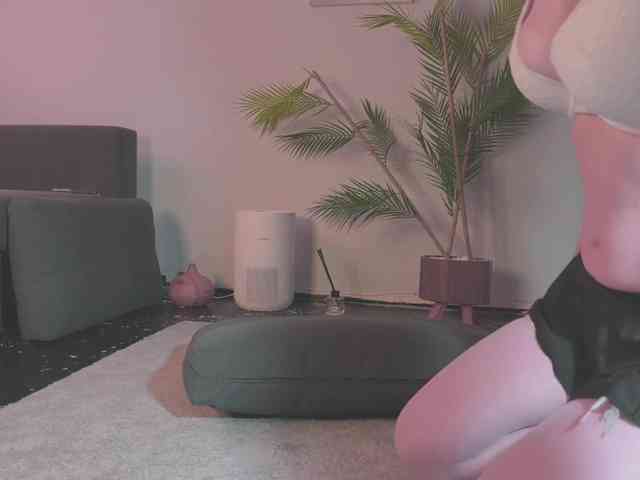 Monicami webcam