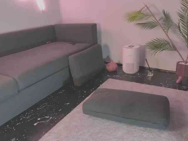 Monicami webcam