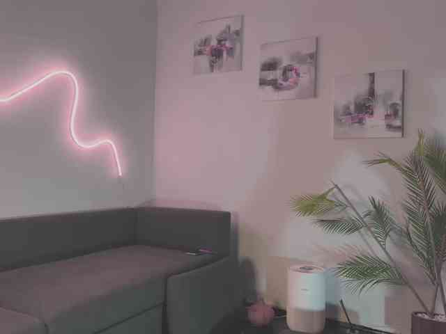 Monicami webcam