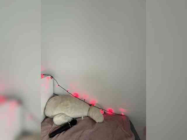 DiBlaze webcam