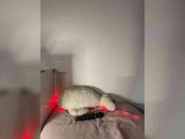 DiBlaze webcam