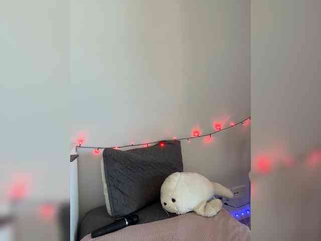 DiBlaze webcam