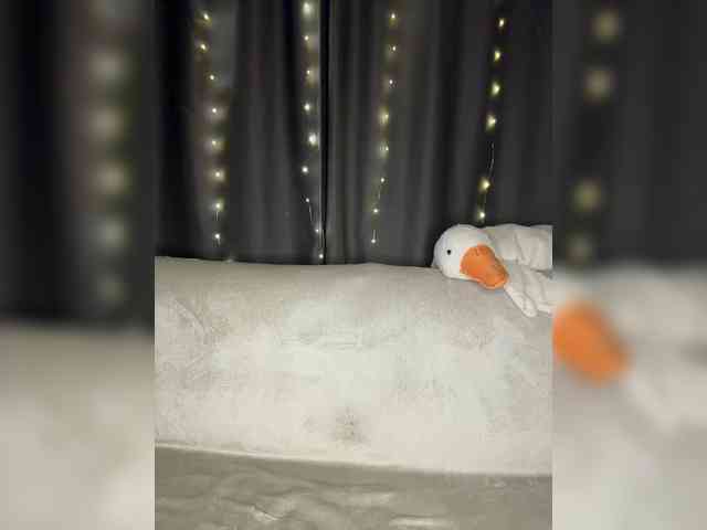 Kumaa webcam