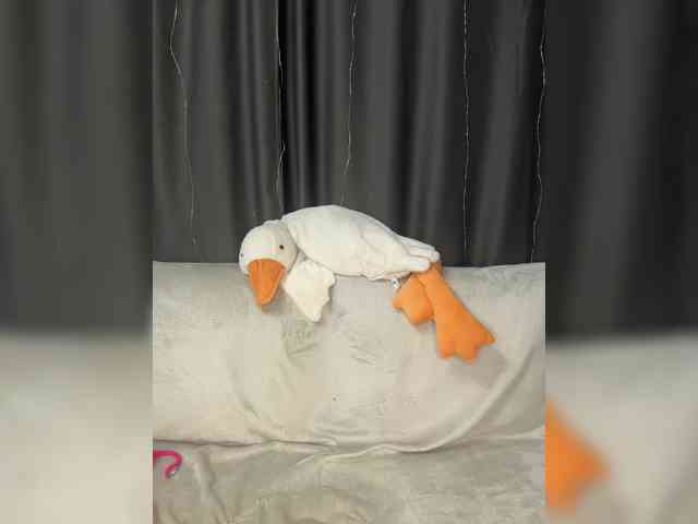 Kumaa webcam