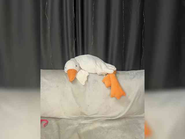 Kumaa webcam