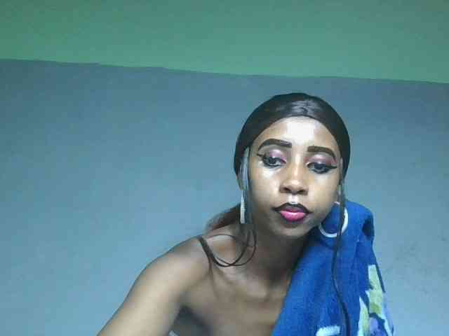 Modèle: zelioness