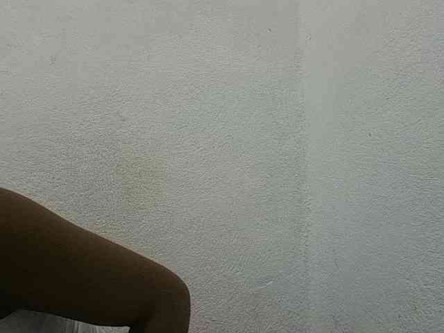 zelioness webcam