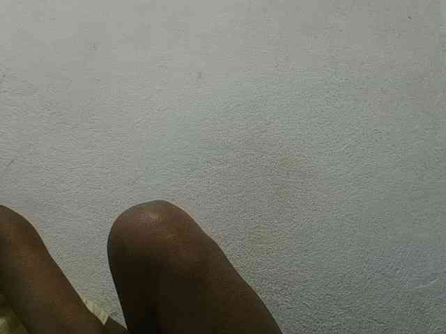 zelioness webcam