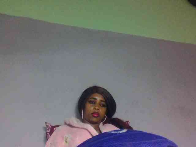 zelioness webcam