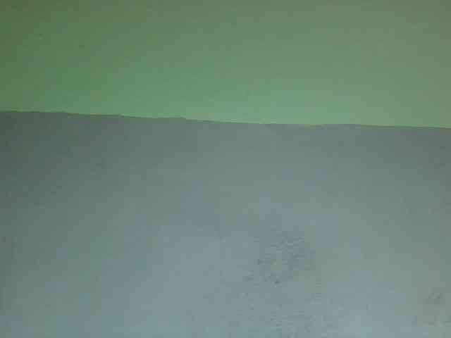 zelioness webcam