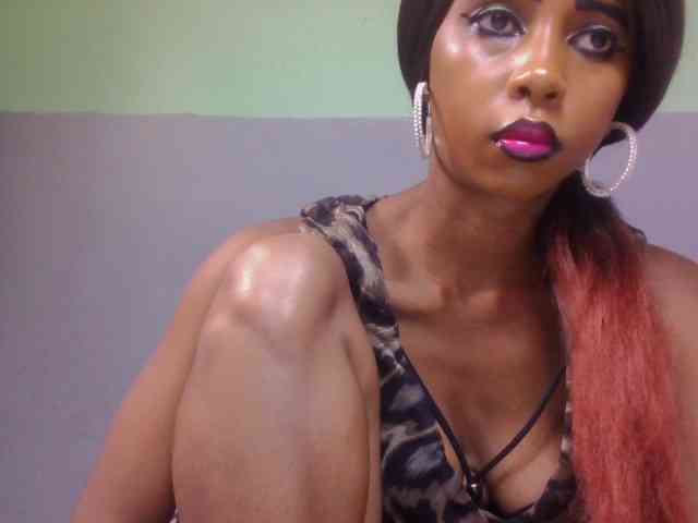 zelioness webcam