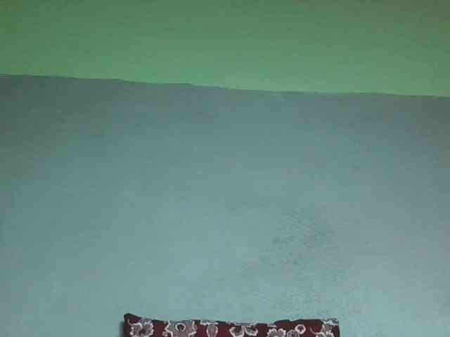 zelioness webcam