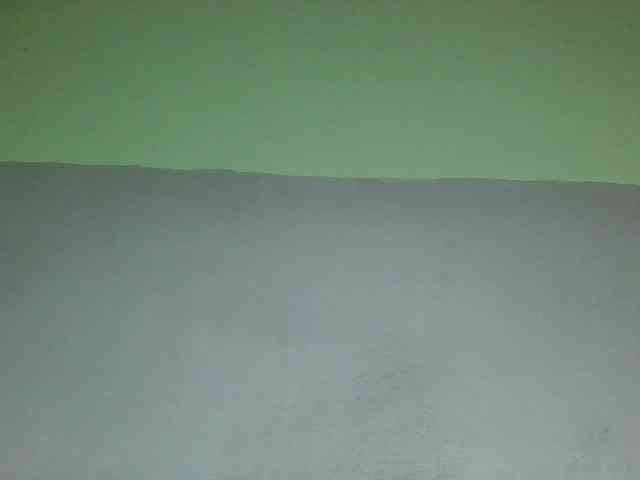 zelioness webcam