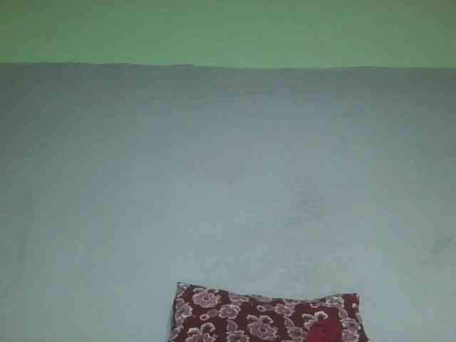zelioness webcam