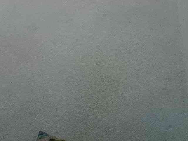 zelioness Live Webcam on BongaCams