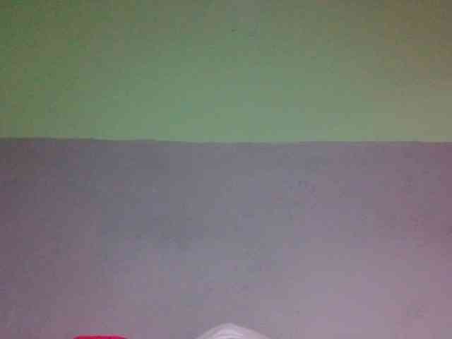 zelioness webcam