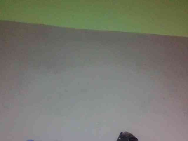zelioness webcam
