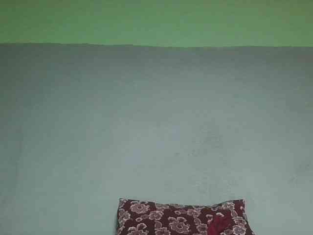 zelioness webcam