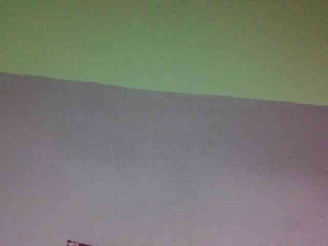 zelioness webcam
