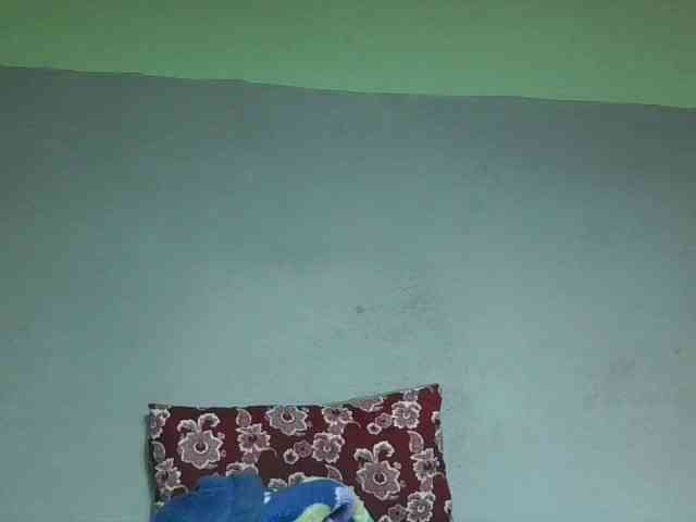 zelioness webcam