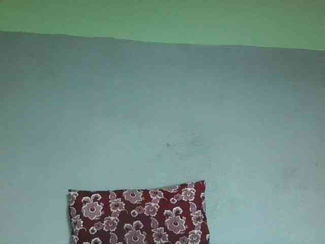 zelioness webcam