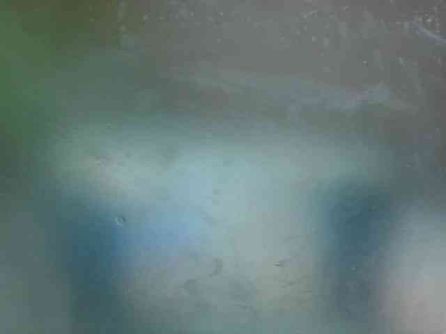 zelioness webcam