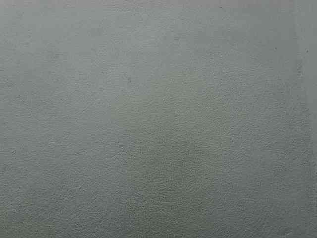 zelioness webcam