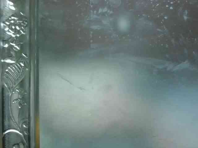 zelioness webcam
