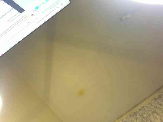 ClaritaHill webcam