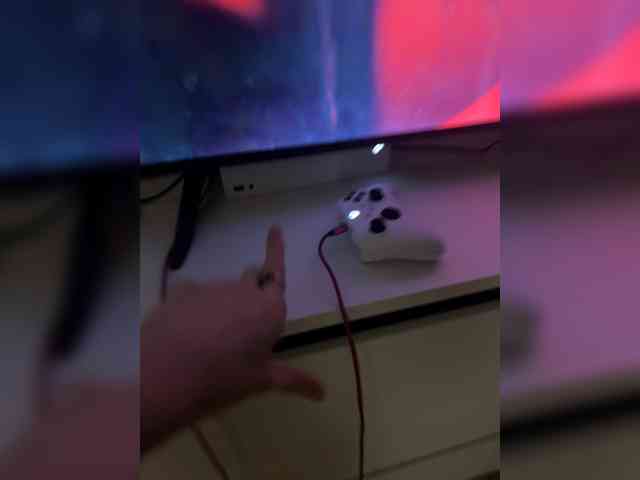 -Pandora- webcam