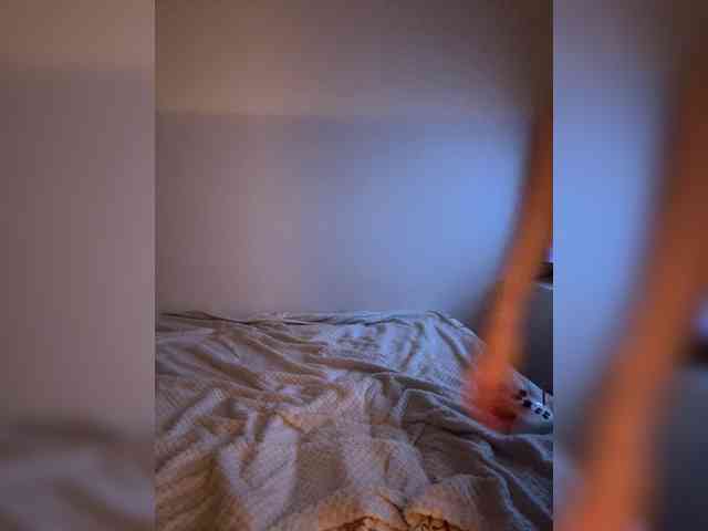 -Pandora- webcam